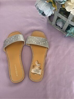 Andiamo Silver Embellished Slide Sandals